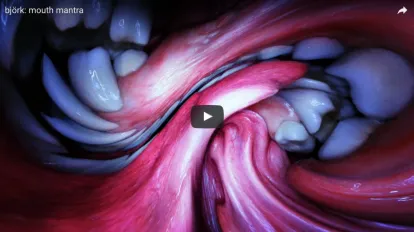 Video still from Bjork Mouth Mantra promo